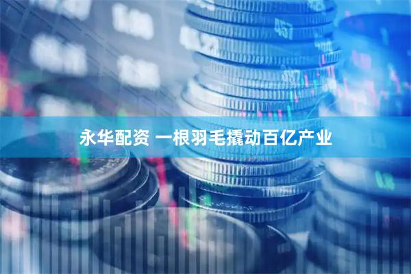 永华配资 一根羽毛撬动百亿产业
