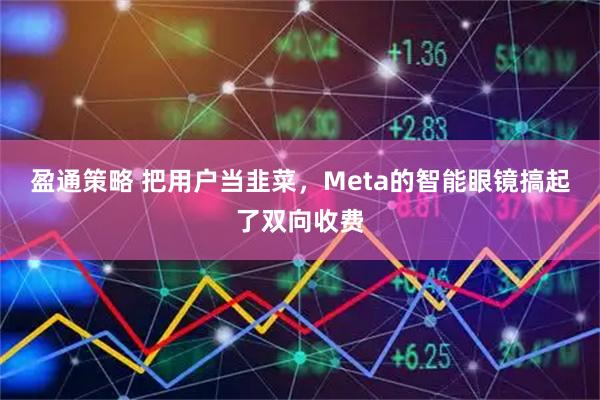 盈通策略 把用户当韭菜，Meta的智能眼镜搞起了双向收费